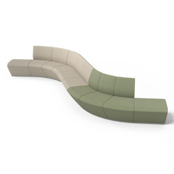 Spino | Panche | Skandiform