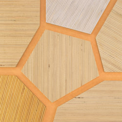 Plexwood - Poplar colour references | Wood panels | Plexwood