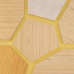 Plexwood- Pioppo riferimenti di colore | Pannelli legno | Plexwood