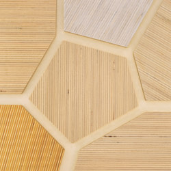 Plexwood- Pioppo riferimenti di colore | Pannelli legno | Plexwood