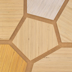 Plexwood - Pappel Farbreferenzen | Holz Platten | Plexwood