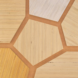 Plexwood - Pappel Farbreferenzen | Holz Platten | Plexwood