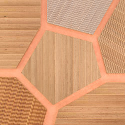 Plexwood - Haya referencias de color | Planchas de madera | Plexwood