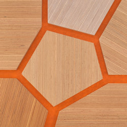 Plexwood - Haya referencias de color | Planchas de madera | Plexwood