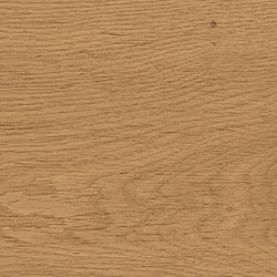 Log Amber Oak 18,5x150 | Carrelage céramique | Atlas Concorde