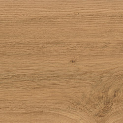 Log Amber Oak 20x120 | Piastrelle ceramica | Atlas Concorde