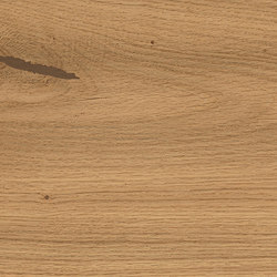 Log Amber Oak Forest 20x180 | Ceramic tiles | Atlas Concorde