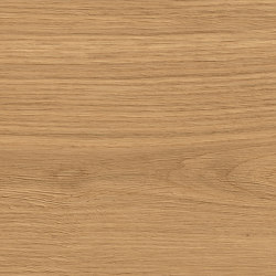 Log Amber Oak Forest 30x120 - 20mm | Baldosas de cerámica | Atlas Concorde