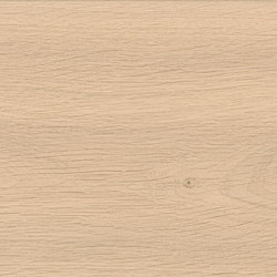 Log Bright Oak 20x180 | Baldosas de cerámica | Atlas Concorde