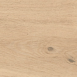 Log Bright Oak Forest 18,5x150 | Baldosas de cerámica | Atlas Concorde