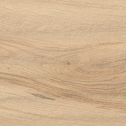 Log Bright Oak Forest 20x120 Matt