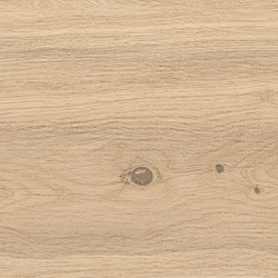 Log Bright Oak Forest 20x180 | Ceramic tiles | Atlas Concorde