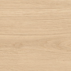 Log Bright Oak Forest 30x120 - 20mm