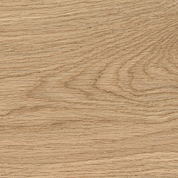 Log Icon Oak Forest 18,5x150 | Piastrelle ceramica | Atlas Concorde