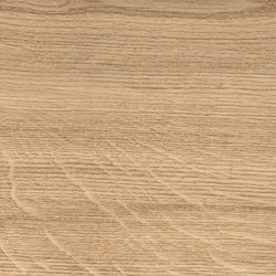 Log Icon Oak Forest 20x120 | Baldosas de cerámica | Atlas Concorde