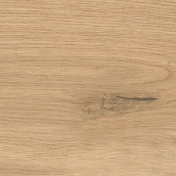 Log Icon Oak Forest 30x120 - 20mm | Keramik Fliesen | Atlas Concorde