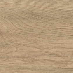 Log Moon Oak 20x120 | Piastrelle ceramica | Atlas Concorde