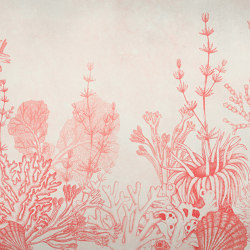 Tresors Marins Coral | Wall coverings / wallpapers | k'moor