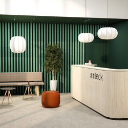 San Antonio | Sound absorbing wall systems | Arteck Design