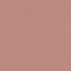 Pumice | Coral Glow | Effect leather | Ultrafabrics