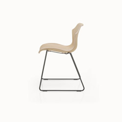 Petal Chair Sled Base | Sedie | BassamFellows