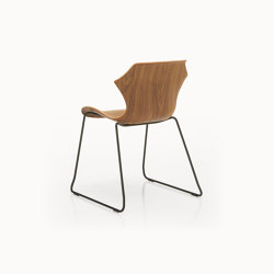 Petal Chair Sled Base | Sillas | BassamFellows