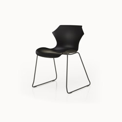 Petal Chair Sled Base | Sillas | BassamFellows