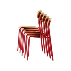 S 243 | Chaises | Gebrüder T 1819