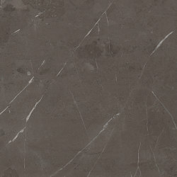 Marvel Diva Precious Brown 60x120 Velvet | Piastrelle ceramica | Atlas Concorde