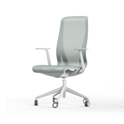 D-Chair Visitor Chair | Office chairs | Narbutas