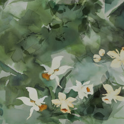 Daffodil Dream | A medida | GLAMORA