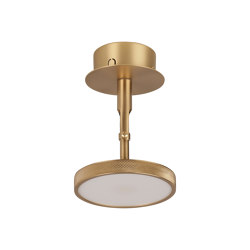 Asteria Spot | spot light, plated brass | Lámparas empotrables de techo | UMAGE