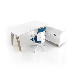 Aranea Exclusive Office Desk with sideboard | Bureaux | Menexes