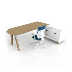 Aranea Exclusive Office Desk with sideboard | Desks | Menexes