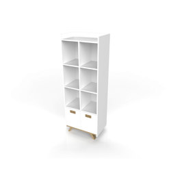 Aranea Type C Bookcase