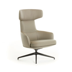 Piccadilly | Armchair | Sillones | Molteni & C