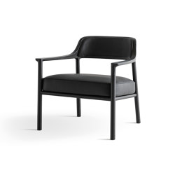 Walter | Armchair | Sessel | Molteni & C