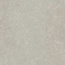 Lithora | Grey 30x60 | Ceramic tiles | Marca Corona