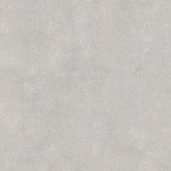 Concept Grey | Ceramic tiles | Casalgrande Padana