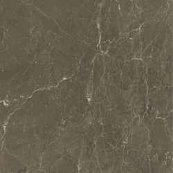 Italian Coffee Brown Polished 60x120 | Ceramic tiles | Kale