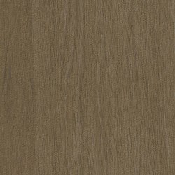 Madera Matte Nogal Porcelain Tile 20x120 | Ceramic tiles | Kale
