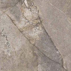 Fiori Di Bosco Polished Grey Porcelian Tile 60x120 | Ceramic tiles | Kale