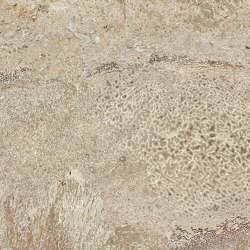 Arizona Bones Beige 1 | Wall art / Murals | TECNOGRAFICA