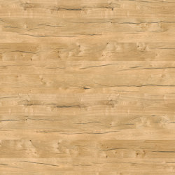 Oak Andalusien 706 | Wood veneers | SUN WOOD by Stainer