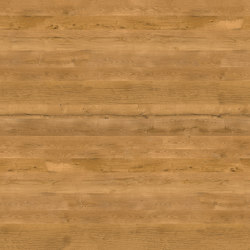 Oak Bretagne 709 | Wood veneers | SUN WOOD by Stainer