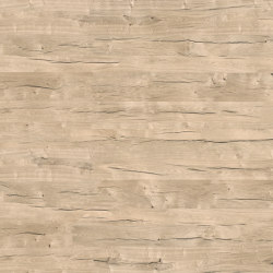 Oak Dolomiten 707 | Wood veneers | SUN WOOD by Stainer
