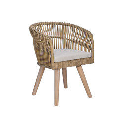 Aruba 2 Dining Armchair Teak Feet | Chairs | cbdesign