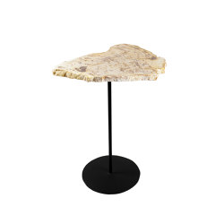 Petrified Pole Table D 50 | Side tables | cbdesign