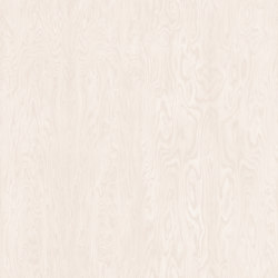 RESOPAL Woods | Stevenson Birch | Wall laminates | Resopal