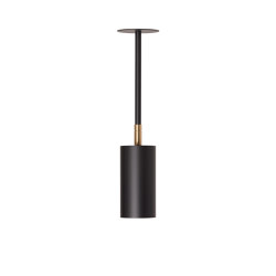 Joey Spot with Plate - Large - Black/Brass (Height 385mm) | Suspended lights | RUBN 